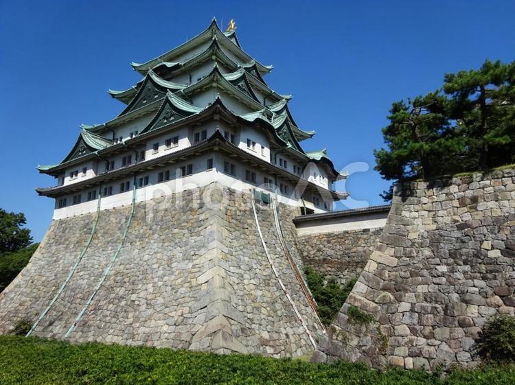 名古屋城の天守閣と石垣 愛知,名古屋,名古屋城の写真素材