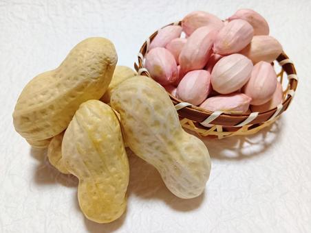 生落花生おおまさり 生落花生おおまさり 落花生,生,おおまさりの写真素材