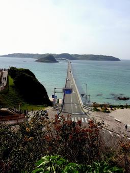 旅 旅の写真