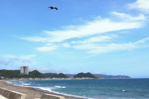 夏の鴨川市の波風立つ「綺麗な海岸線」 夏の鴨川市の波風立つ「綺麗な海岸線」の写真
