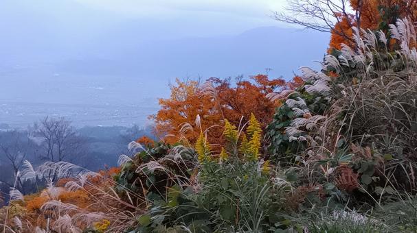 魚沼スカイラインの紅葉 紅葉,魚沼スカイライン,早朝の写真素材
