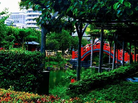 赤い橋と緑豊かな日本庭園 赤い橋と緑豊かな日本庭園 日本庭園,赤い橋,緑の写真素材