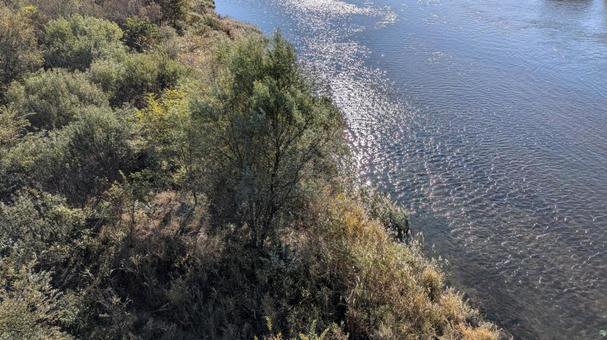 大河 川の流れ 大河,川,河川の写真素材
