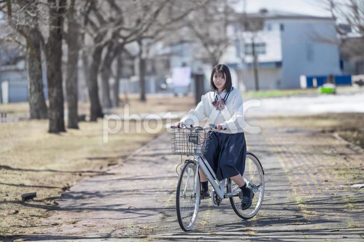 高校生と自転車 学生,女子生徒,高校生の写真素材