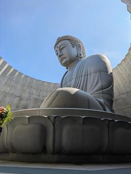 大仏　滝野霊園 滝野,滝野すずらん,夏の写真素材