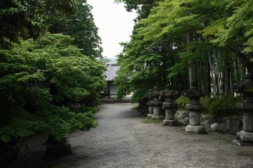 木と灯篭のある風景 木と灯篭のある風景の写真