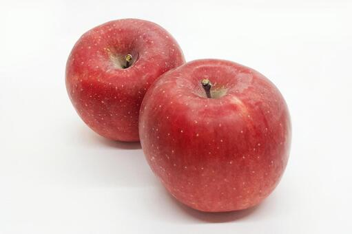リンゴ リンゴ,アップル,林檎の写真素材
