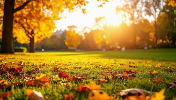 秋のイメージの背景画像 紅葉 野原 公園 秋のイメージの背景画像 紅葉 野原 公園の写真