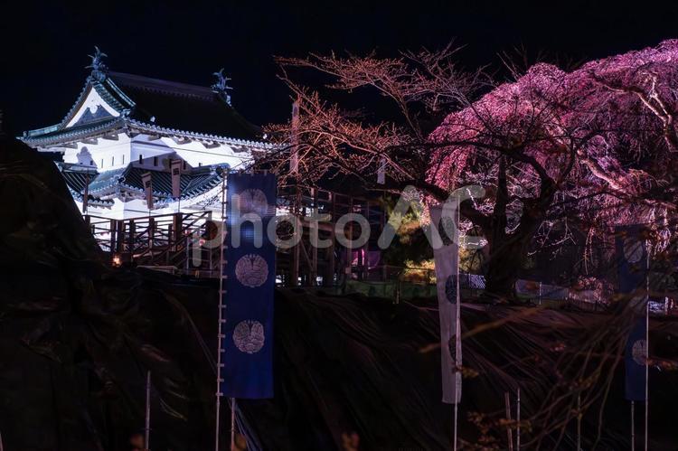 弘前城と桜の夜景 青森,弘前城,夜景の写真素材