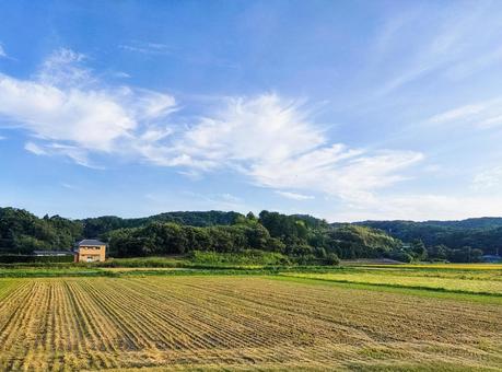 千葉県南部 8月の稲刈り後の田園風景 千葉県南部 8月の稲刈り後の田園風景の写真