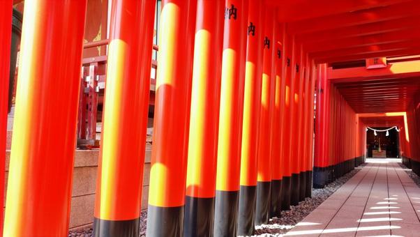 風景写真 穴守稲荷神社 千本鳥居 風景写真 穴守稲荷神社 千本鳥居の写真