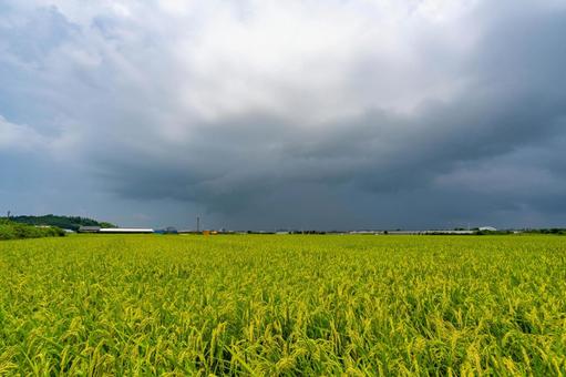 Photo, summer, cloud, sky, 