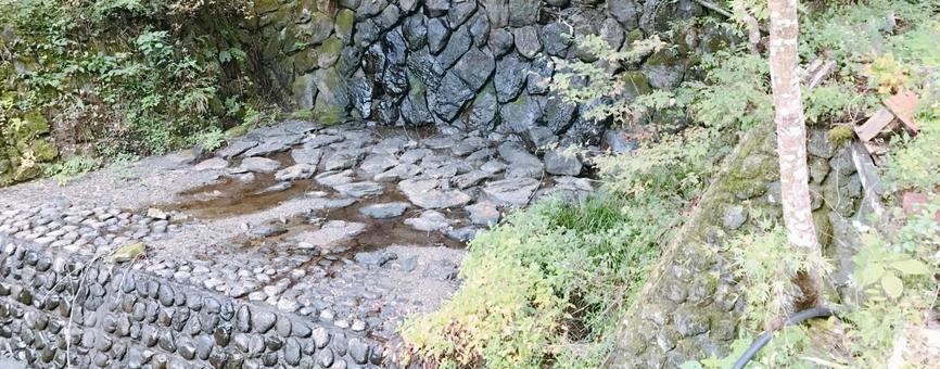 沢 沢,自然,ナチュラルの写真素材