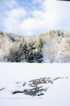 雪解け 雪解け 冬,winter,景色の写真素材