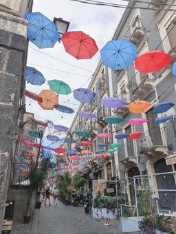 カターニアの市場街 カターニア,市場,シチリアの写真素材