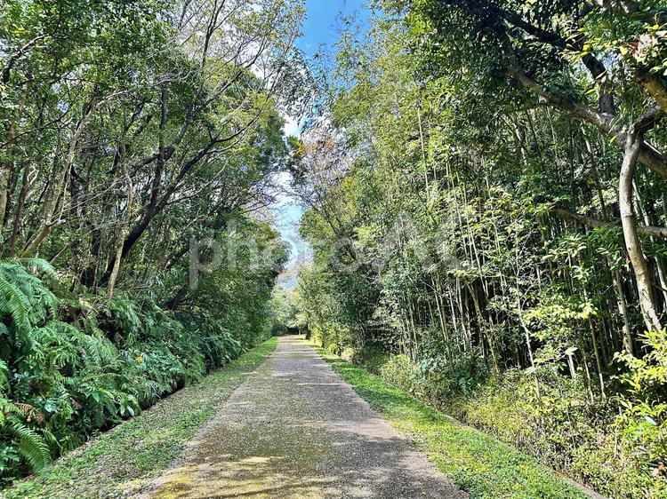 環境省　宇久井ビジターセンター　自然観察 公共施設,環境省,吉野熊野国立公園の写真素材