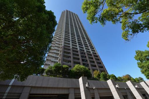 晴海ビュータワーの外観 晴海ビュータワーの外観 晴海アイランド,トリトンスクエアビュータワー,晴海トリトンスクエアの写真素材