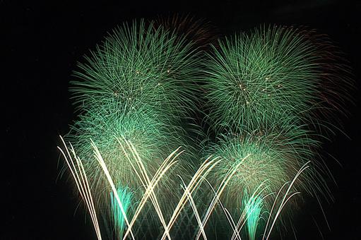 25年長岡まつり 花火 25年長岡まつり 花火の写真