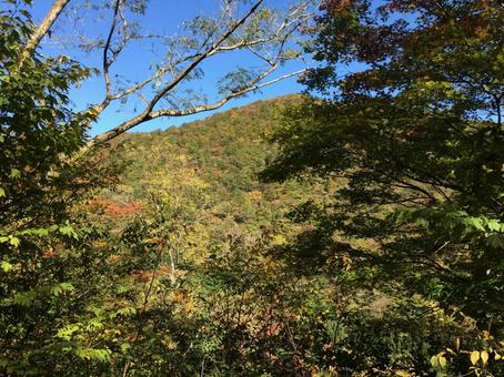 深まる秋の山景色 深まる秋の山景色 秋,山,森の写真素材