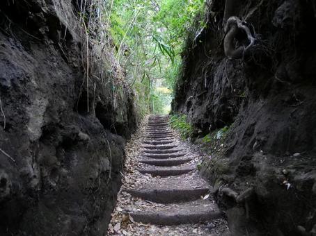 伊豆大島 泉津の切通し 伊豆大島 泉津の切通しの写真