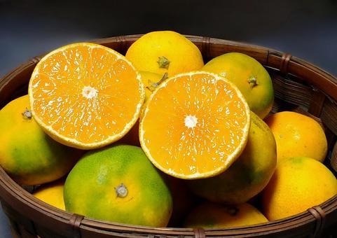 みかん みかん,果物,果実の写真素材