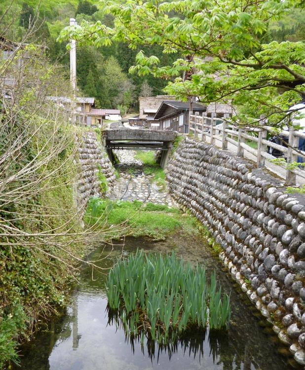 田舎の風景 田舎,川,植物の写真素材