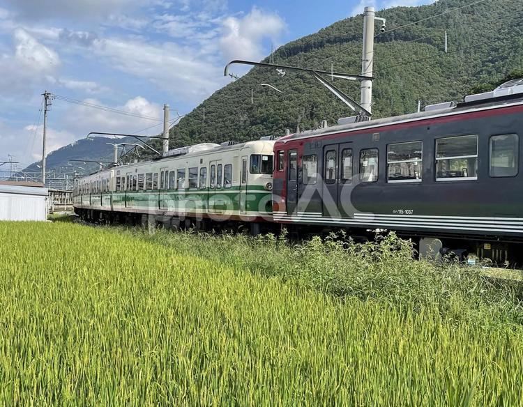 １１５系Ｓ７編成　初代長野色 第三セクター,しなの鉄道,三セクの写真素材