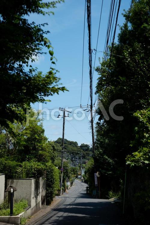 ［神奈川県鎌倉市］扇ガ谷｜住宅街 鎌倉,扇ガ谷,住宅街の写真素材