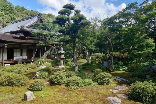 大阪府-金剛寺-本坊-枯山水庭園 大阪府-金剛寺-本坊-枯山水庭園の写真