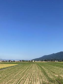 秋晴れ空と稲刈後の田んぼ(縦) 秋晴れ空と稲刈後の田んぼ(縦) 秋晴れ,稲刈り,空の写真素材