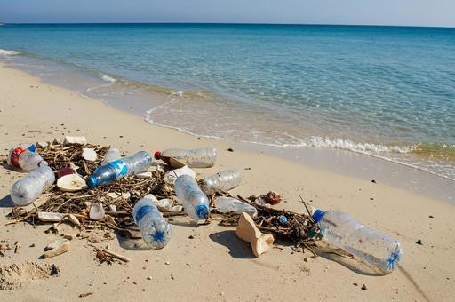 海岸に打ち上げられたプラスチックごみ 海岸に打ち上げられたプラスチックごみの写真