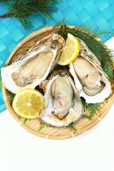 牡蠣 牡蠣,生牡蠣,岩牡蠣の写真素材