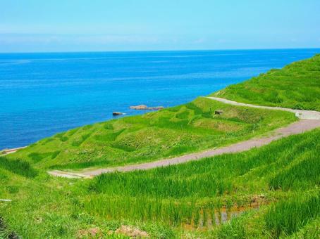 白米千枚田の棚田 白米千枚田の棚田 棚田,能登半島,地震の写真素材