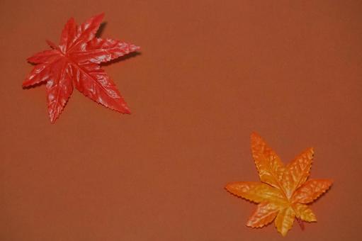 Maple background, JPG Maple background, JPG