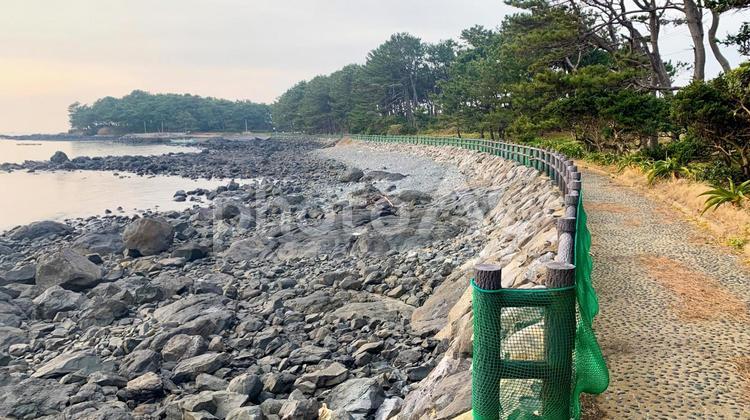 波戸岬の夕暮れ遊歩道 波戸岬,遊歩道,夕暮れの写真素材