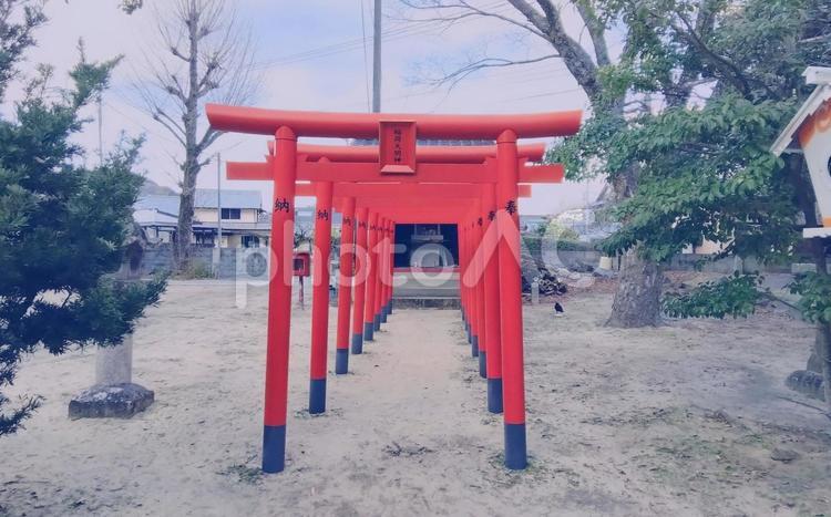 糸島市の深江神社にある稲荷神社 深江神社,糸島市,福岡県の写真素材