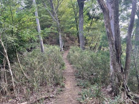 菊花山のハイキング風景 菊花山のハイキング風景 菊花山,ハイキング,山梨の写真素材