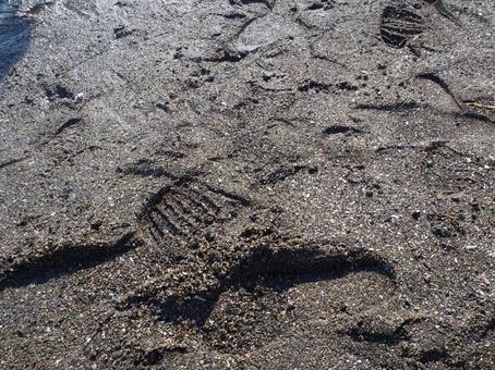 砂の足跡 砂の足跡の写真
