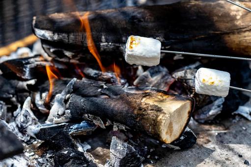 炭火で焼かれるマシュマロ マシュマロ,焼く,スイーツの写真素材