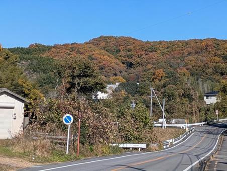 紅葉 山,紅葉,秋の写真素材