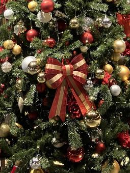 クリスマスツリー クリスマスツリー,クリスマス,赤の写真素材