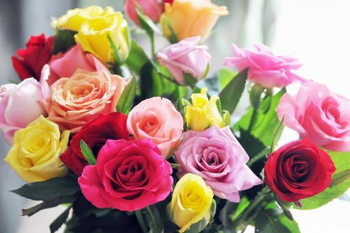 バラの花束・カラフル バラの花束・カラフル バラ,花,バラの花の写真素材