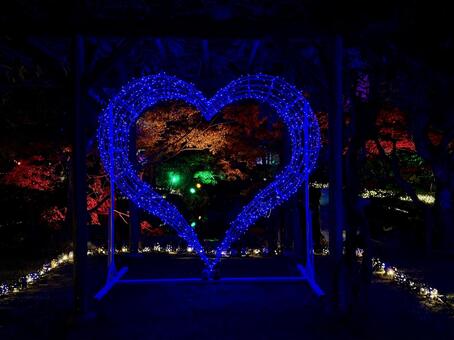 越前陶芸村　陶あかり　福井県陶芸館 福井,越前市,伝統工芸の写真素材
