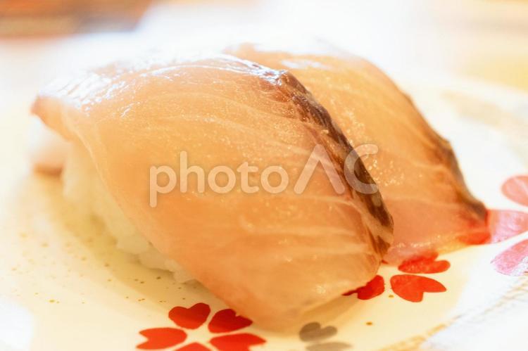 シマアジのにぎり寿司 シマアジ,にぎり寿司,寿司の写真素材