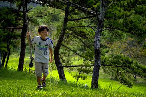 ＜素材＞公園のターザンロープで遊ぶ少年 子供,ターザンロープ,遊具の写真素材