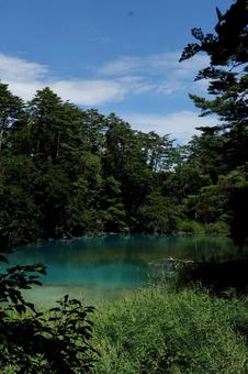 五色沼 五色沼の写真