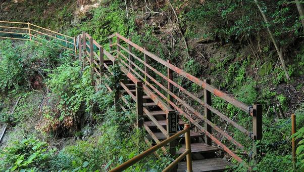 桑の木橋 桑の木橋の写真