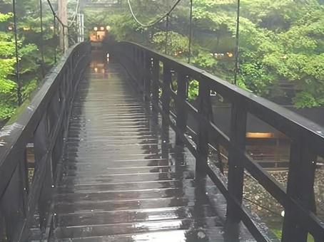 梅雨の木橋 梅雨の木橋の写真
