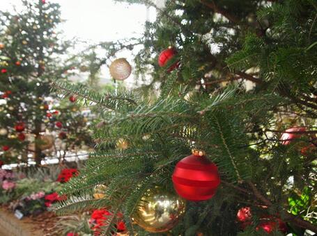 クリスマス クリスマスの写真