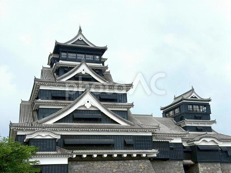 復興後の熊本城天守閣と小天守 熊本城,お城,復興の写真素材